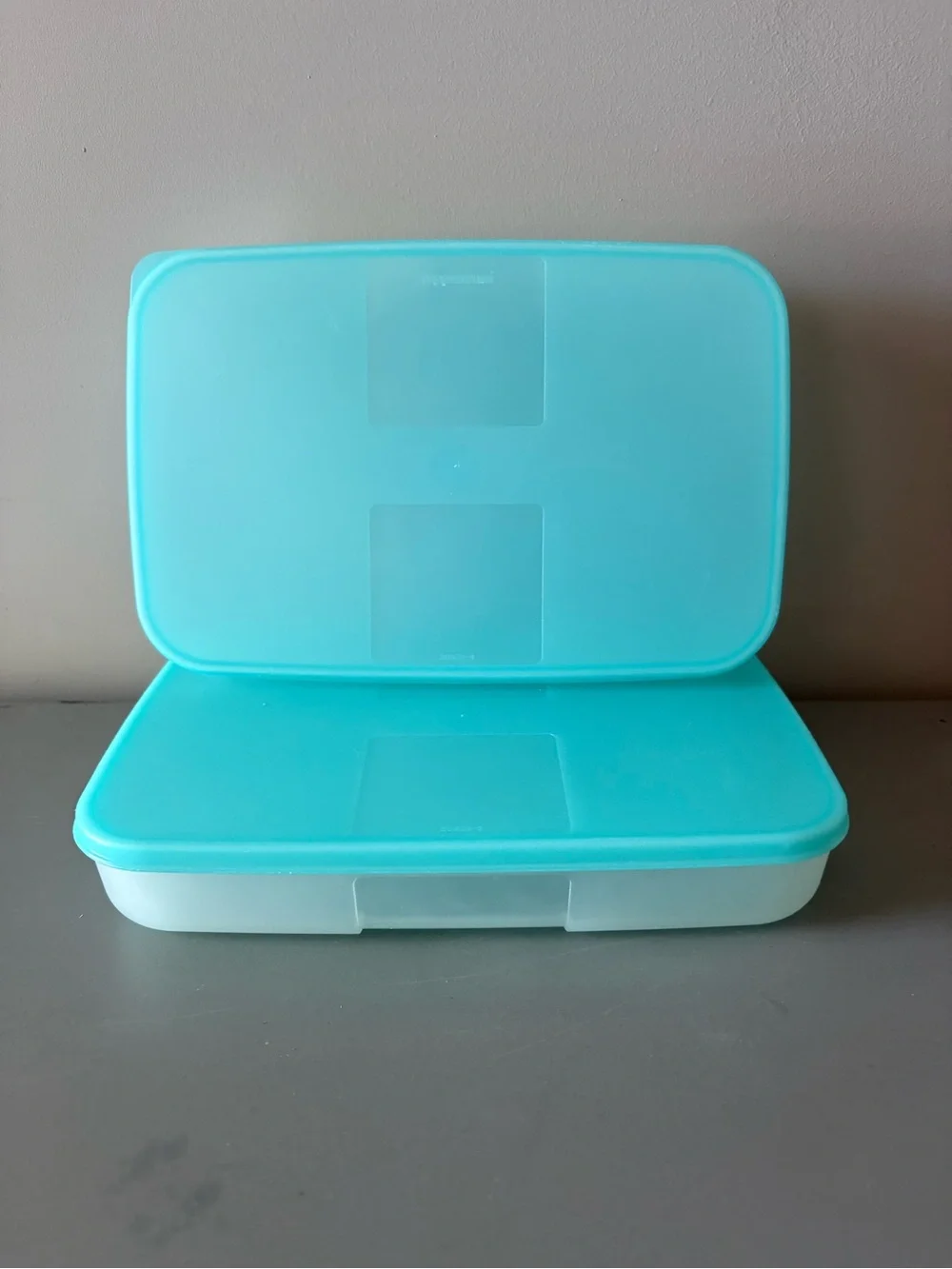 Tupperware Freezer Mates Set of 2 Rectangular Storage Containers Teal Aqua